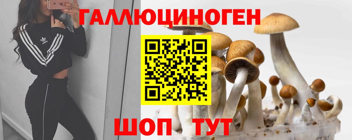 Галлюциногенные грибы ЛСД  Галлюциногенные грибы Cubensis  Вход с VPN  Шатура 